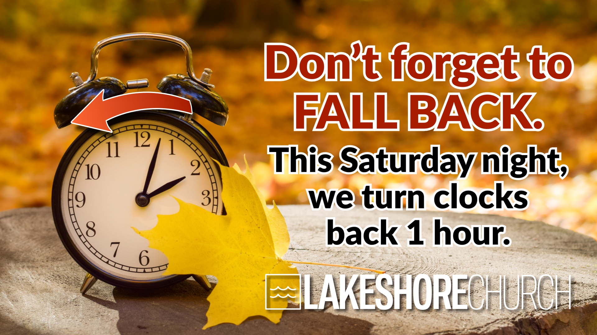 Featured image for “FALL BACK 1 HOUR!”