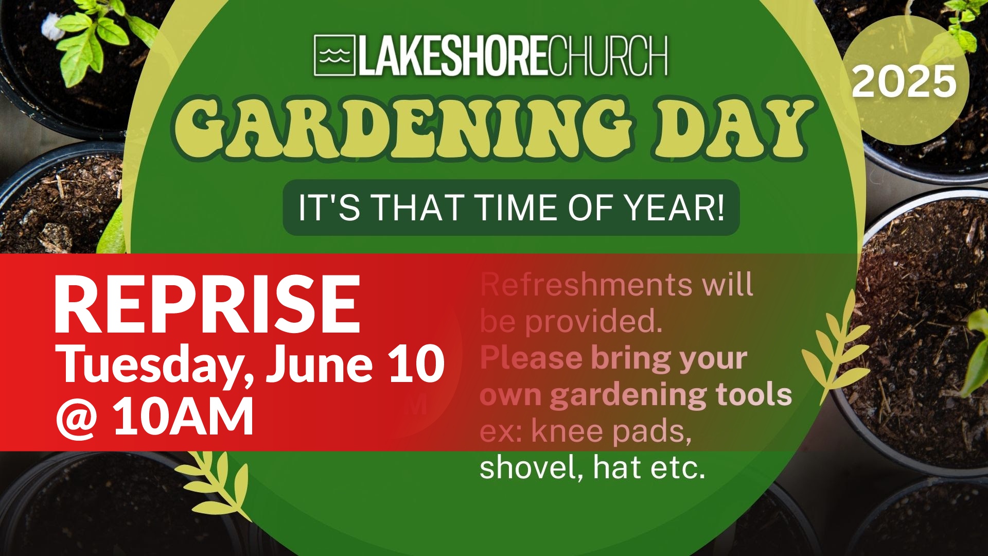 Featured image for “Gardening Day REPRISE”