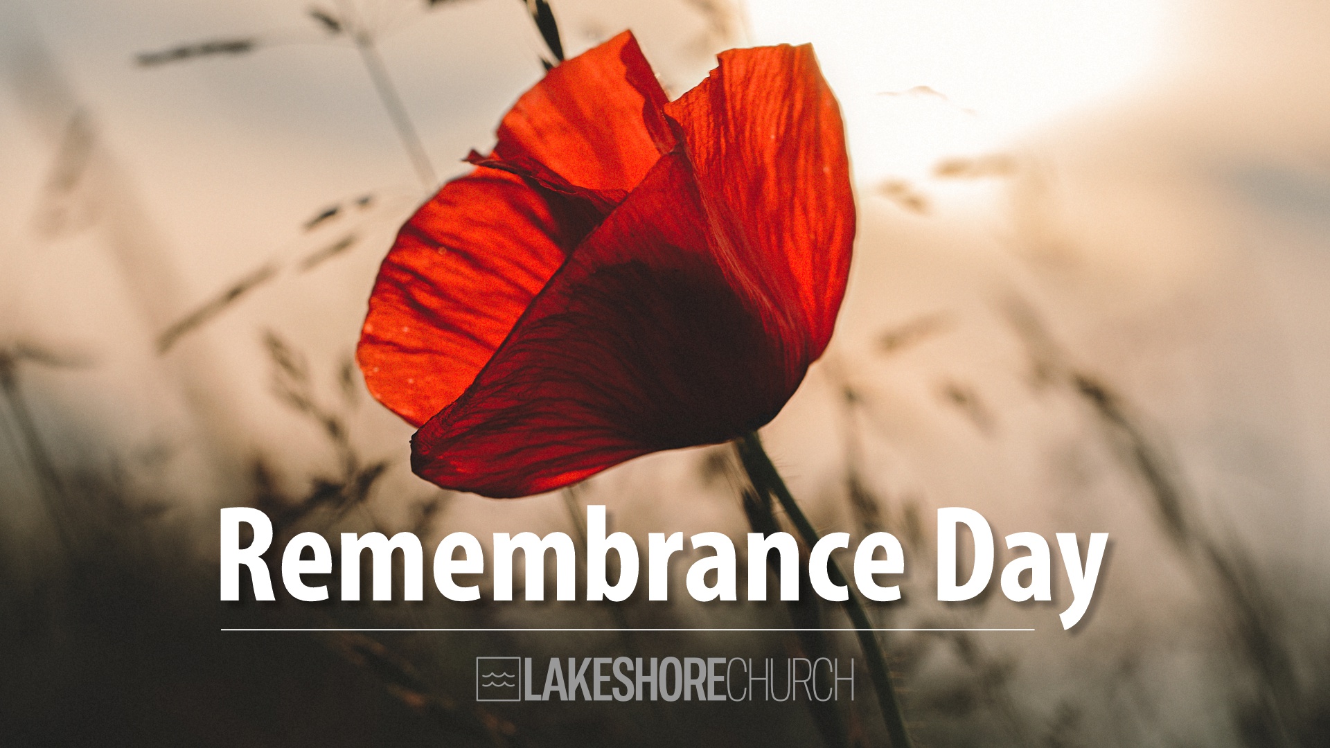 Featured image for “REMEMBRANCE DAY”